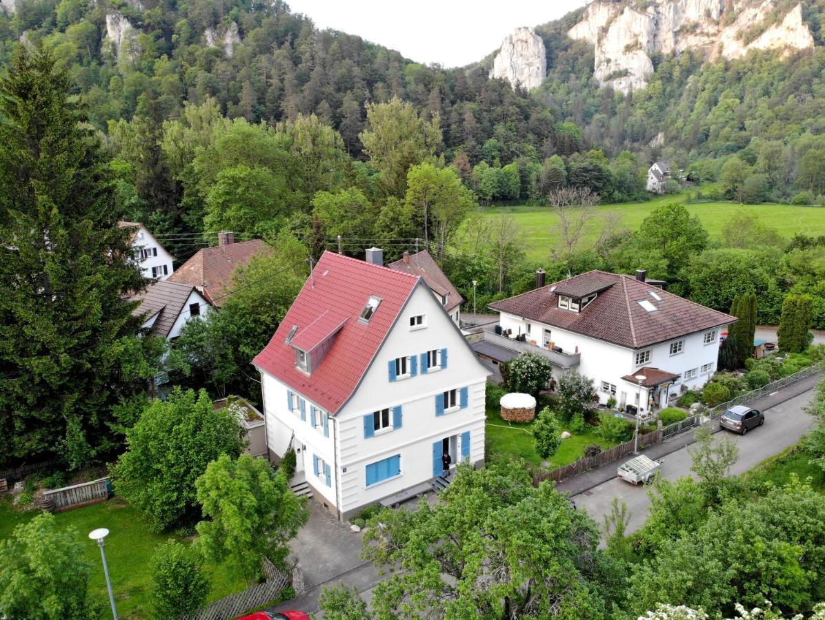 Zwergdackeladlerhirsch Apartment Beuron Bagian luar foto
